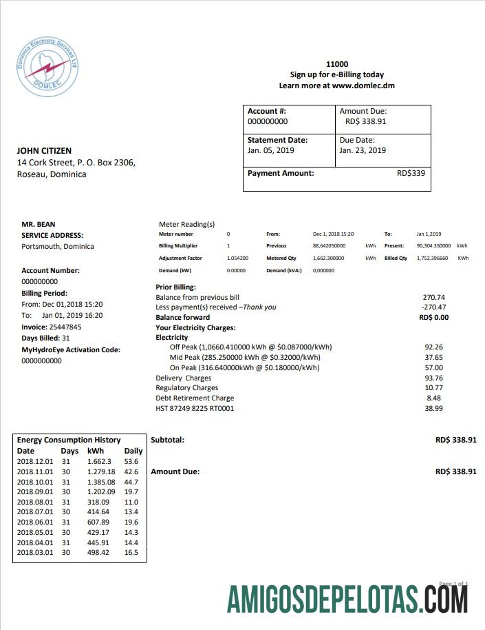 imprimível Modelo de conta de serviço público de eletricidade limitada da Dominica Electricity Services em formato Word e PDF